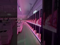 Ενοικίαση Διαφανών Πλεγματικών Οθονών LED για Εκδηλώσεις, Γυάλινες Κουρτίνες, Οθόνες Βιτρίνας P3.91 έως P7.82